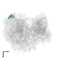 Putative 40S ribosomal protein L14 in PDB entry 8ovj, assembly 1, top view.