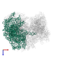 LSUa_rRNA_chain_1 in PDB entry 8ovj, assembly 1, top view.