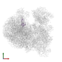 Putative 60S ribosomal protein L10 in PDB entry 8ovj, assembly 1, front view.