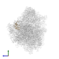 Small ribosomal subunit protein eS1 in PDB entry 8ovj, assembly 1, side view.