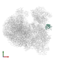 Small ribosomal subunit protein uS2 in PDB entry 8ovj, assembly 1, front view.