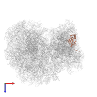 40S ribosomal protein S3 in PDB entry 8ovj, assembly 1, top view.