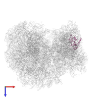 40S ribosomal protein S4 in PDB entry 8ovj, assembly 1, top view.