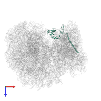 Small ribosomal subunit protein eS6 in PDB entry 8ovj, assembly 1, top view.