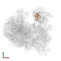 Small ribosomal subunit protein uS7 domain-containing protein in PDB entry 8ovj, assembly 1, front view.