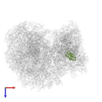 Ribosomal protein S16 in PDB entry 8ovj, assembly 1, top view.