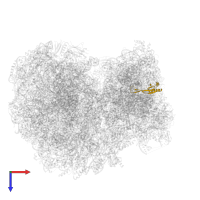 Small ribosomal subunit protein uS10 domain-containing protein in PDB entry 8ovj, assembly 1, top view.