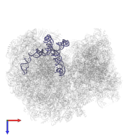 SR2_chain_4 in PDB entry 8ovj, assembly 1, top view.