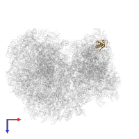 Plectin/eS10 N-terminal domain-containing protein in PDB entry 8ovj, assembly 1, top view.