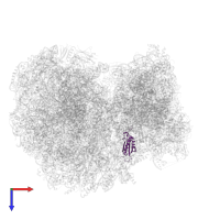 40S ribosomal protein S14 in PDB entry 8ovj, assembly 1, top view.
