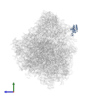 40S ribosomal protein S12 in PDB entry 8ovj, assembly 1, side view.