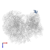 40S ribosomal protein S12 in PDB entry 8ovj, assembly 1, top view.