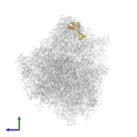 Ribosomal protein S18 in PDB entry 8ovj, assembly 1, side view.