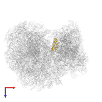 Ribosomal protein S18 in PDB entry 8ovj, assembly 1, top view.