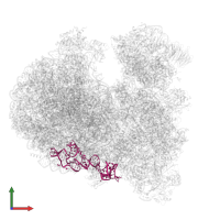 SR4_chain_5 in PDB entry 8ovj, assembly 1, front view.