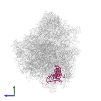 SR4_chain_5 in PDB entry 8ovj, assembly 1, side view.