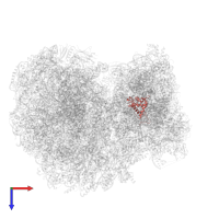 40S ribosomal protein S19-like protein in PDB entry 8ovj, assembly 1, top view.