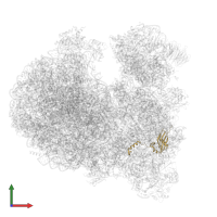 40S ribosomal protein S24 in PDB entry 8ovj, assembly 1, front view.