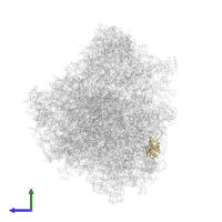 40S ribosomal protein S24 in PDB entry 8ovj, assembly 1, side view.