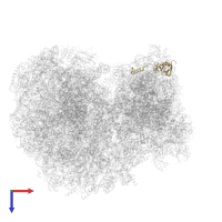 40S ribosomal protein S24 in PDB entry 8ovj, assembly 1, top view.