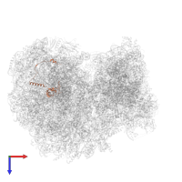 Putative 60S ribosomal protein L21 in PDB entry 8ovj, assembly 1, top view.