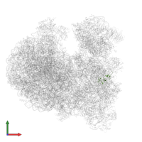 40S ribosomal protein S27-1 in PDB entry 8ovj, assembly 1, front view.
