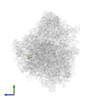 40S ribosomal protein S27-1 in PDB entry 8ovj, assembly 1, side view.