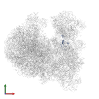 40S ribosomal protein S26 in PDB entry 8ovj, assembly 1, front view.