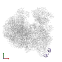RRM domain-containing protein in PDB entry 8ovj, assembly 1, front view.