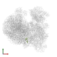 Putative ribosomal protein L24 in PDB entry 8ovj, assembly 1, front view.