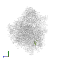 Putative ribosomal protein L24 in PDB entry 8ovj, assembly 1, side view.