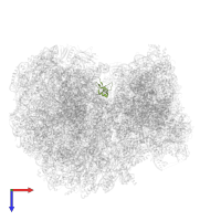 Putative ribosomal protein L24 in PDB entry 8ovj, assembly 1, top view.