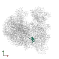 KOW domain-containing protein in PDB entry 8ovj, assembly 1, front view.