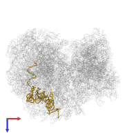 5.8S_rRNA_chain_7 in PDB entry 8ovj, assembly 1, top view.