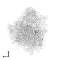 Putative ribosomal protein l35a in PDB entry 8ovj, assembly 1, side view.