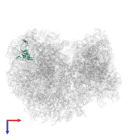 Putative ribosomal protein l35a in PDB entry 8ovj, assembly 1, top view.