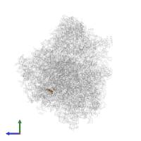 Putative 60S ribosomal protein L39 in PDB entry 8ovj, assembly 1, side view.