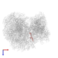 Putative 60S ribosomal protein L37a in PDB entry 8ovj, assembly 1, top view.