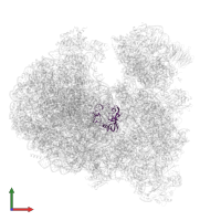 Large ribosomal subunit protein uL2 C-terminal domain-containing protein in PDB entry 8ovj, assembly 1, front view.