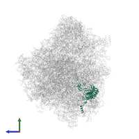 Ribosomal protein L3 in PDB entry 8ovj, assembly 1, side view.