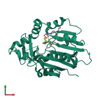 Monomeric assembly 1 of PDB entry 8owx coloured by chemically distinct molecules, front view.