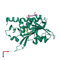 Monomeric assembly 1 of PDB entry 8owx coloured by chemically distinct molecules, top view.
