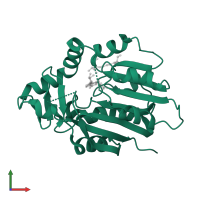 tRNA N(3)-methylcytidine methyltransferase METTL6 in PDB entry 8owx, assembly 1, front view.
