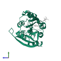 tRNA N(3)-methylcytidine methyltransferase METTL6 in PDB entry 8owx, assembly 1, side view.