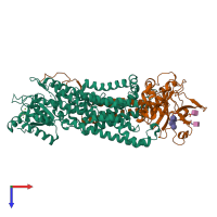 Hetero dimeric assembly 1 of PDB entry 8ox6 coloured by chemically distinct molecules, top view.