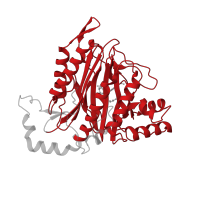 The deposited structure of PDB entry 8oxg contains 2 copies of Pfam domain PF00557 (Metallopeptidase family M24) in Methionine aminopeptidase 2. Showing 1 copy in chain B.