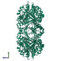 Homo dodecameric assembly 1 of PDB entry 8ozs coloured by chemically distinct molecules, side view.