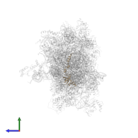 40S ribosomal protein S23 in PDB entry 8p09, assembly 1, side view.