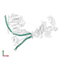 Coiled-coil domain-containing protein 93 in PDB entry 8p0x, assembly 1, front view.