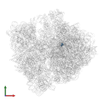 Modified residue OMG in PDB entry 8p16, assembly 1, front view.